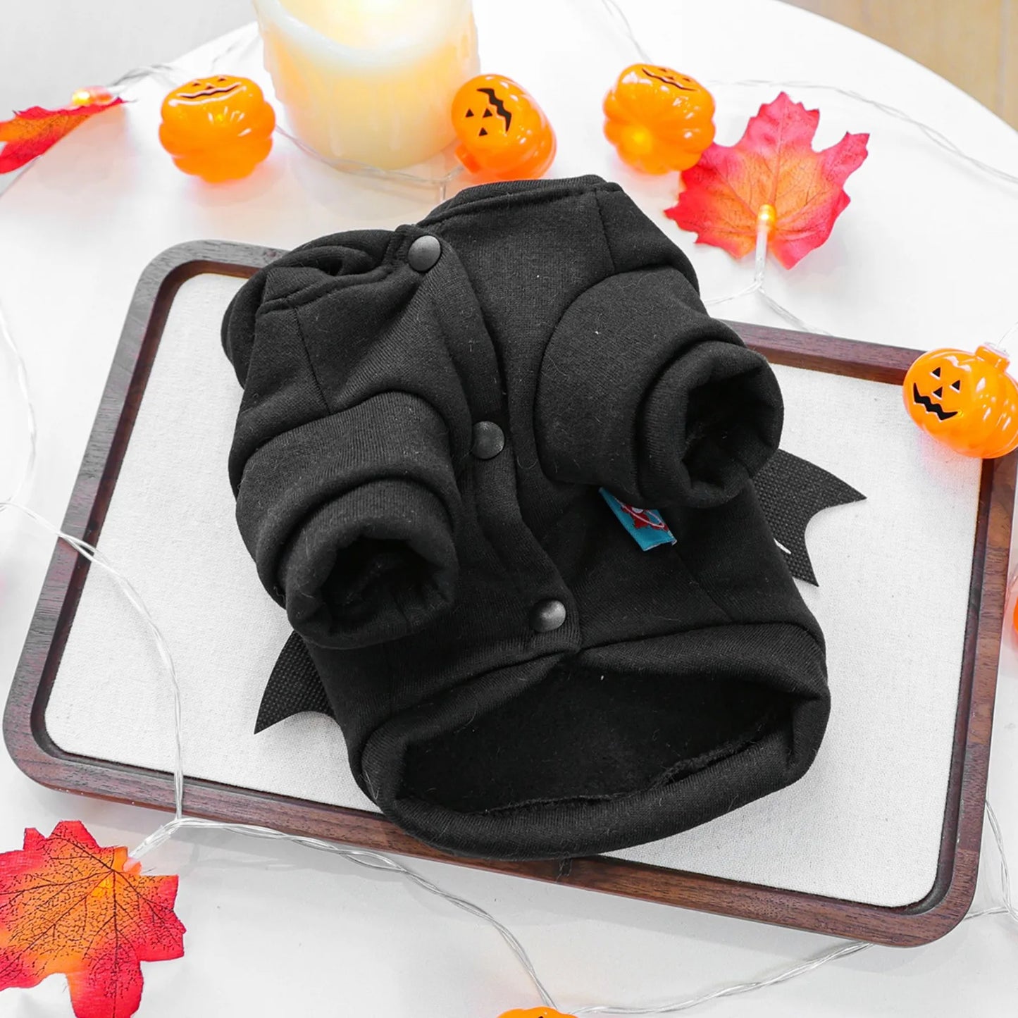Halloween Pet Clothes