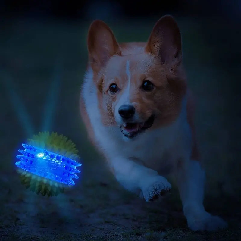 LED Light Up Squeaky Ball Dog Toy