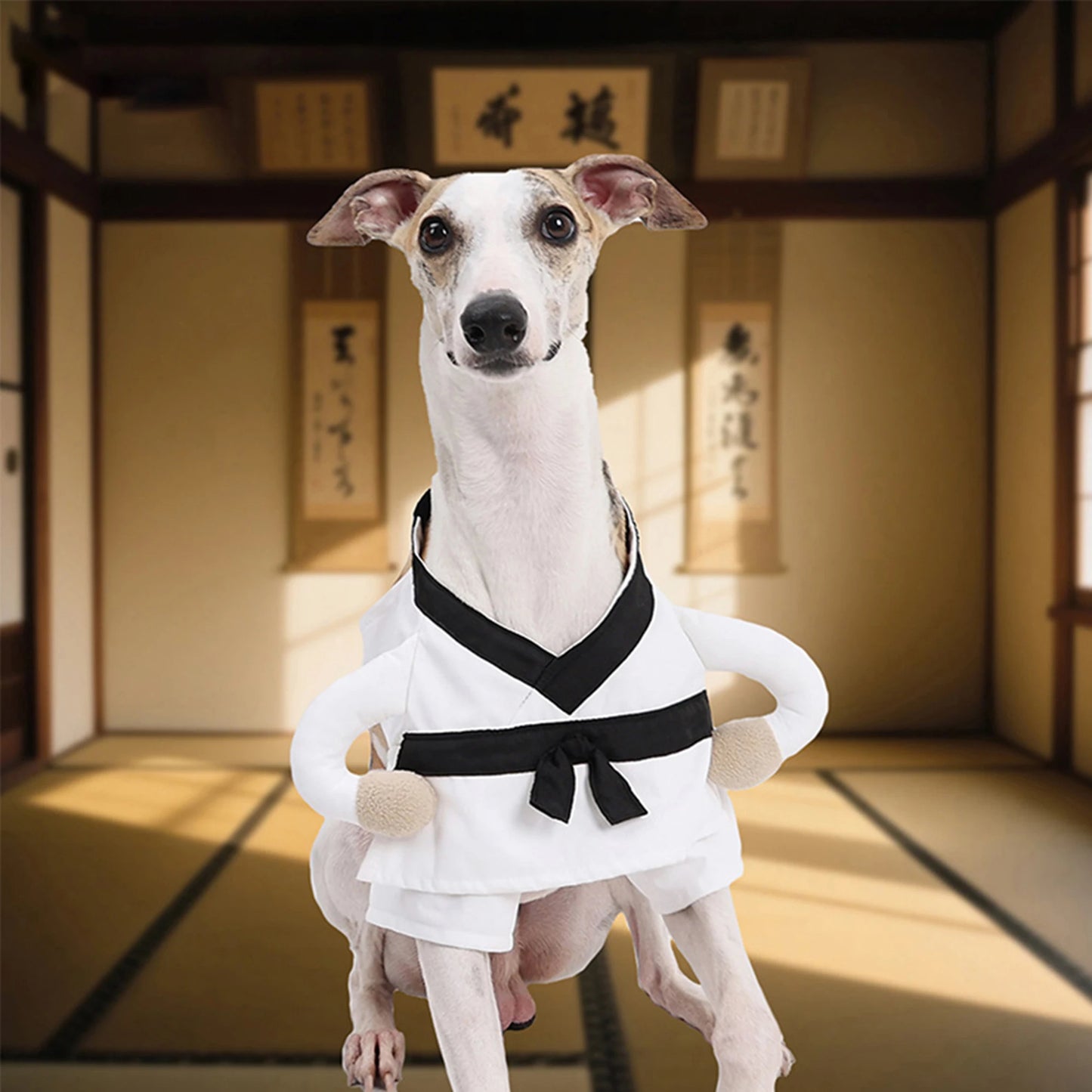 Funny Halloween Pet Costume