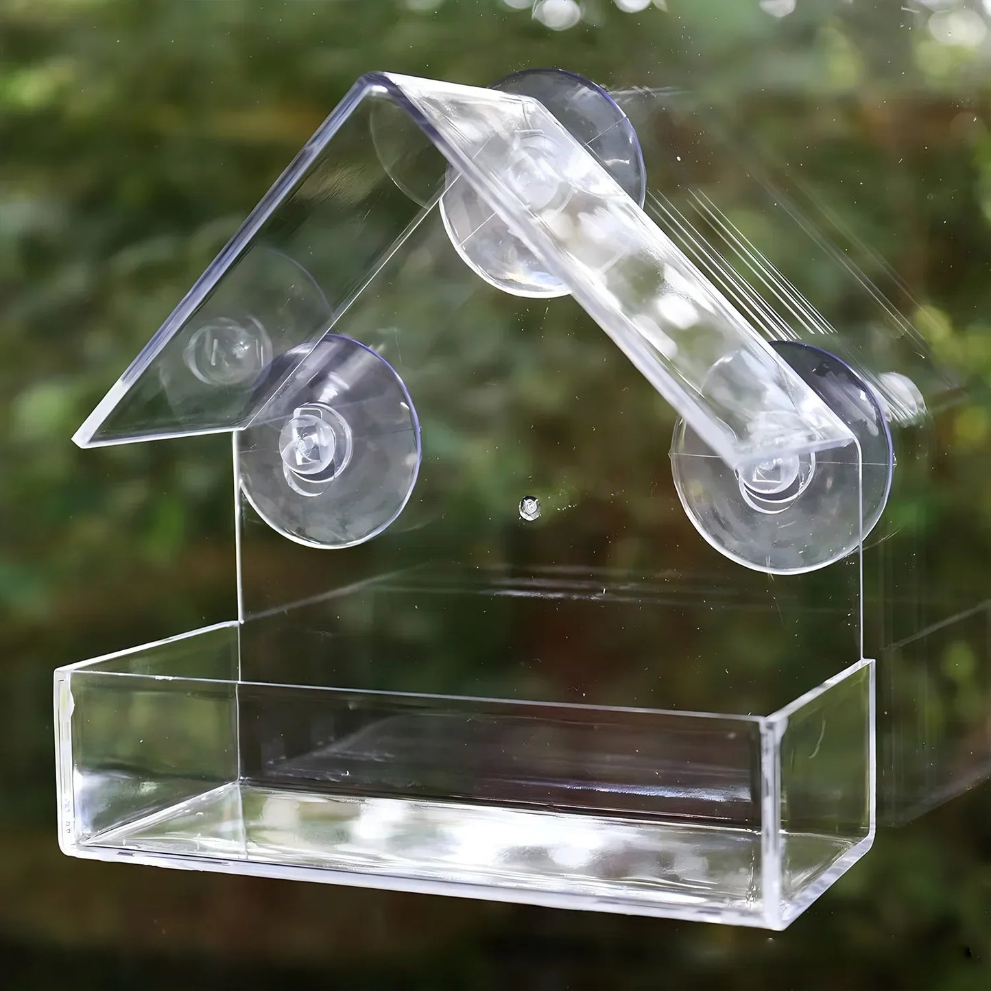 House Transparent Window Wild Bird Feeder Outdoor Removable Suction Cups