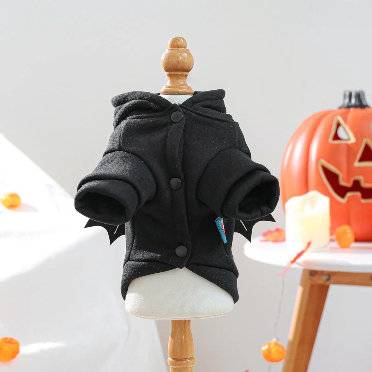Halloween Pet Clothes