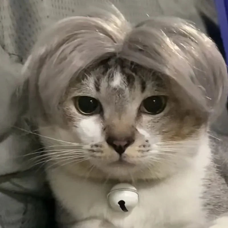 Pet Cat Dog Cosplay Wig