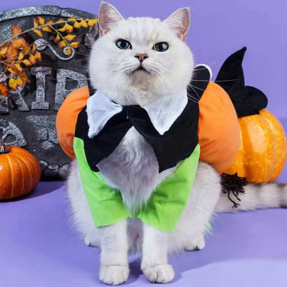 Funny Pet Cosplay Costume