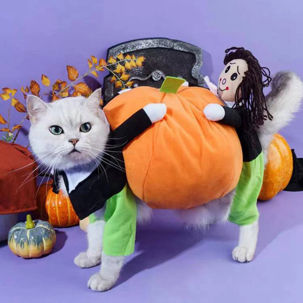 Funny Pet Cosplay Costume