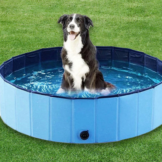 Swimming Pool For Large Dogs
