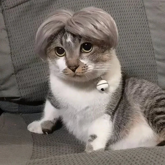 Pet Cat Dog Cosplay Wig