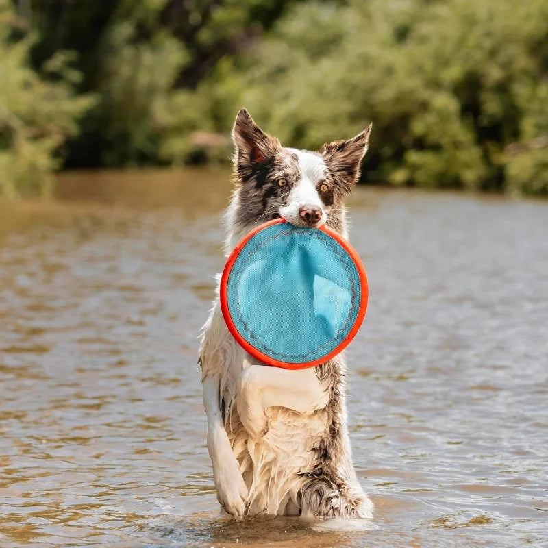 Paraflight Flying Disc Dog Toy For Medium and Large Dogs