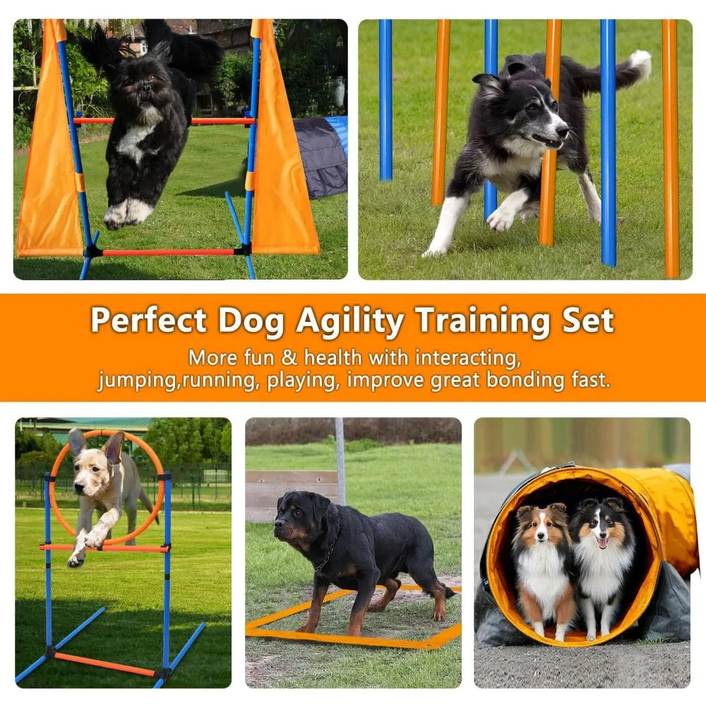Dog Agility Training Equipment Set