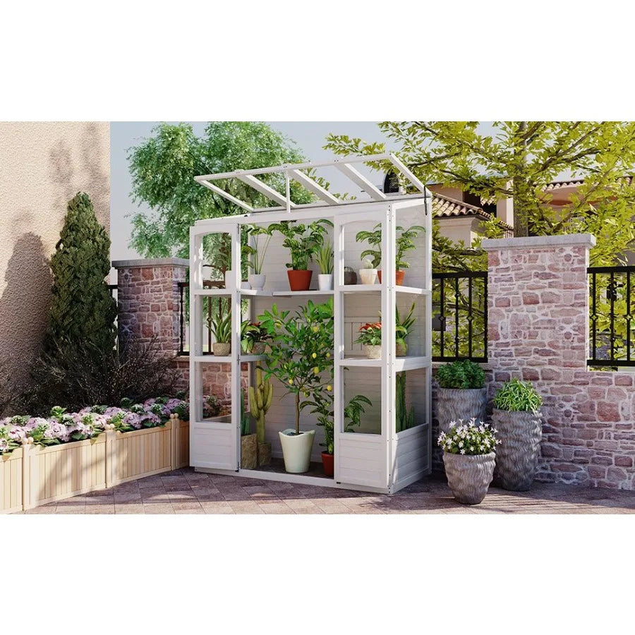 TOPMAX 78inch Wooden Greenhouse Cold Frame with 4 Independent Skylights and 2 Folding Middle Shelves
