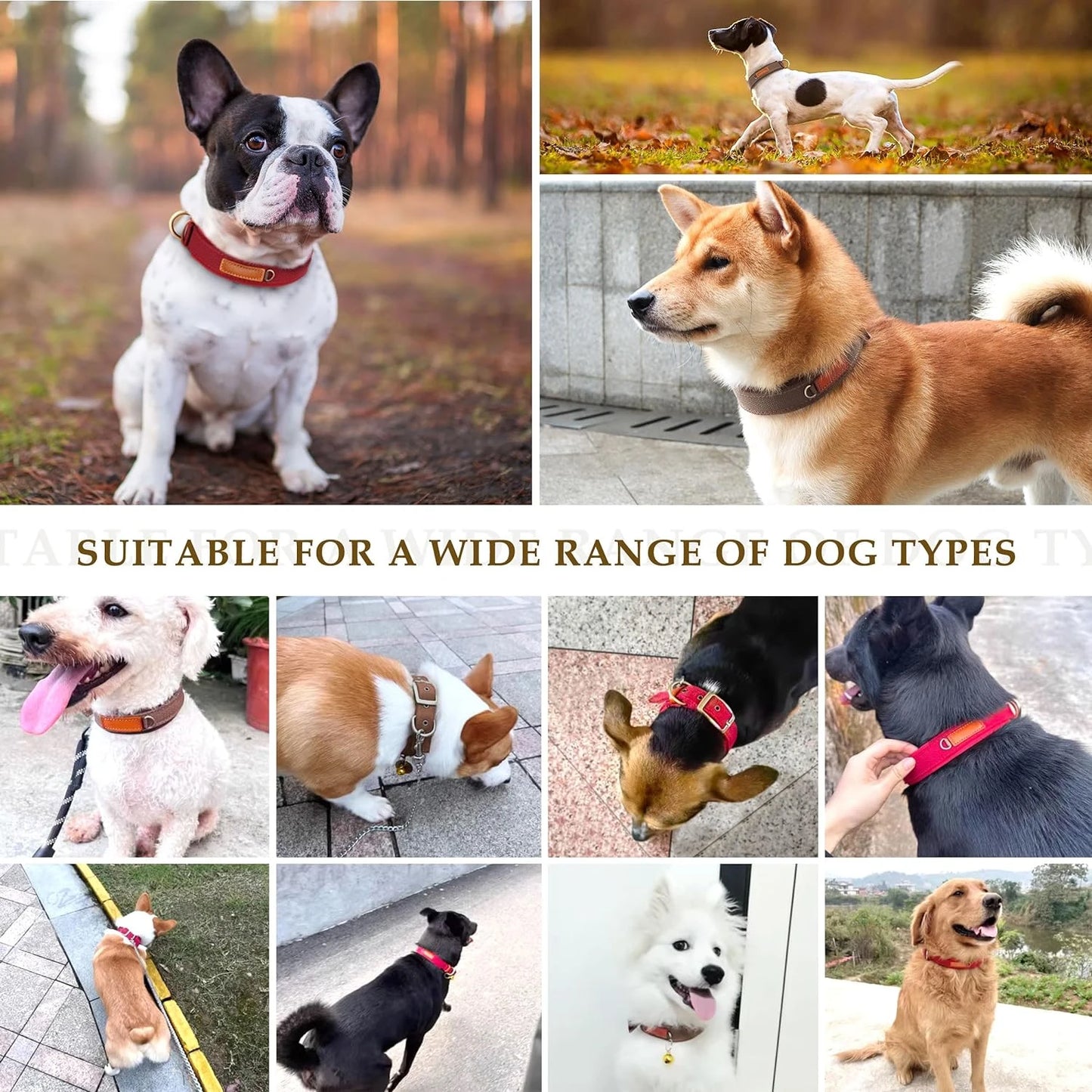 Convenient Red Neoprene Nylon Adjustable Dog Collar For Small/Medium Dogs