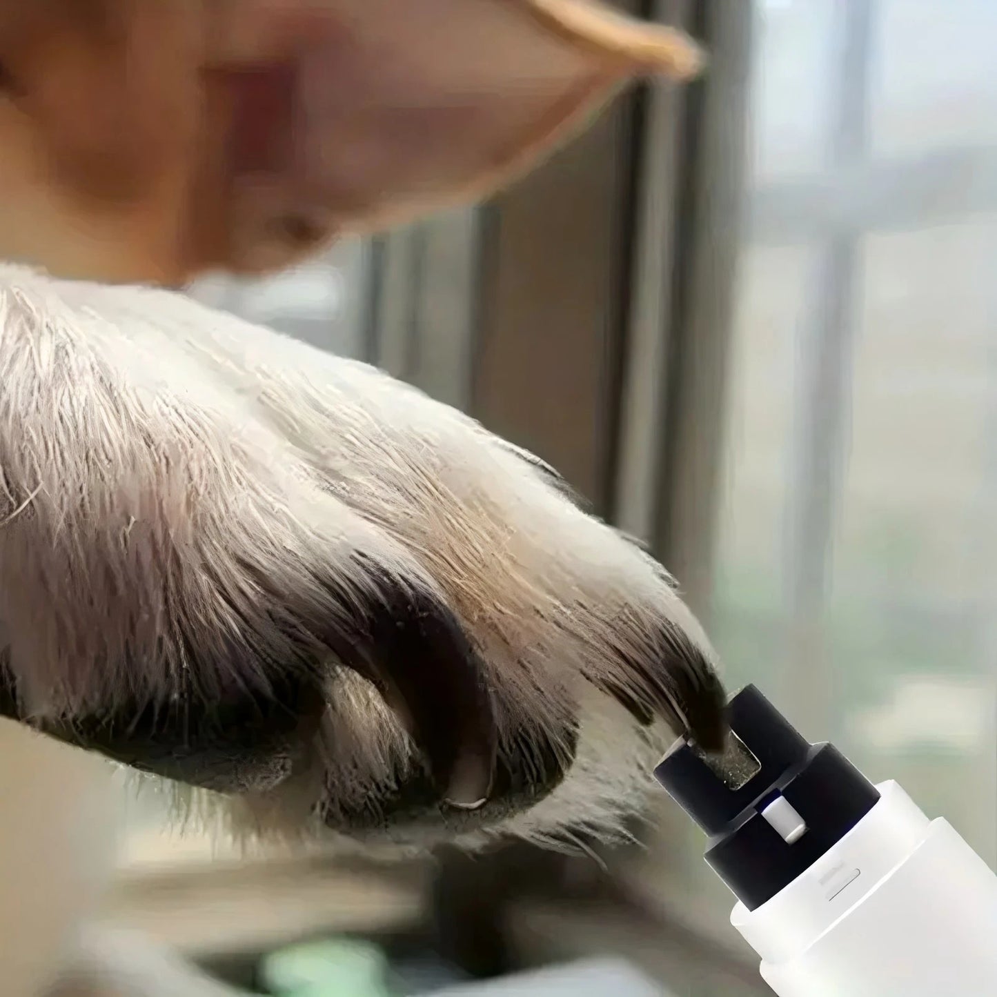 Electric Pet Nail Grinder USB Rechargeable Cat & Dog Nail Clipper