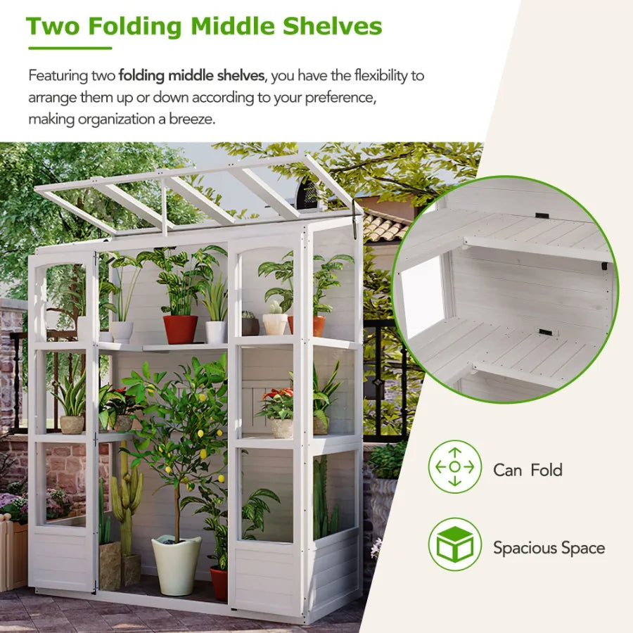 TOPMAX 78inch Wooden Greenhouse Cold Frame with 4 Independent Skylights and 2 Folding Middle Shelves