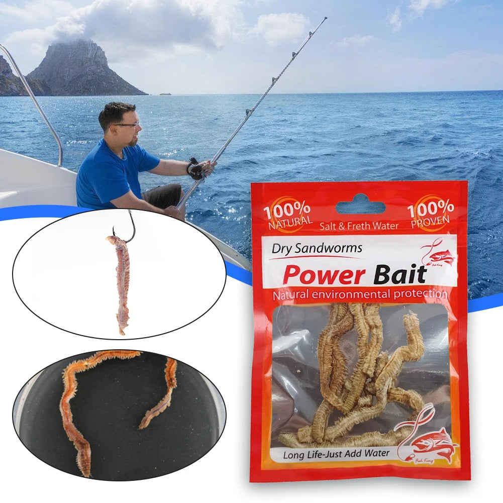 Dry Sandworms Fishing Lures Fishy Smell Lures Soft Fishing Lures for Saltwater and Freshwater Fishing