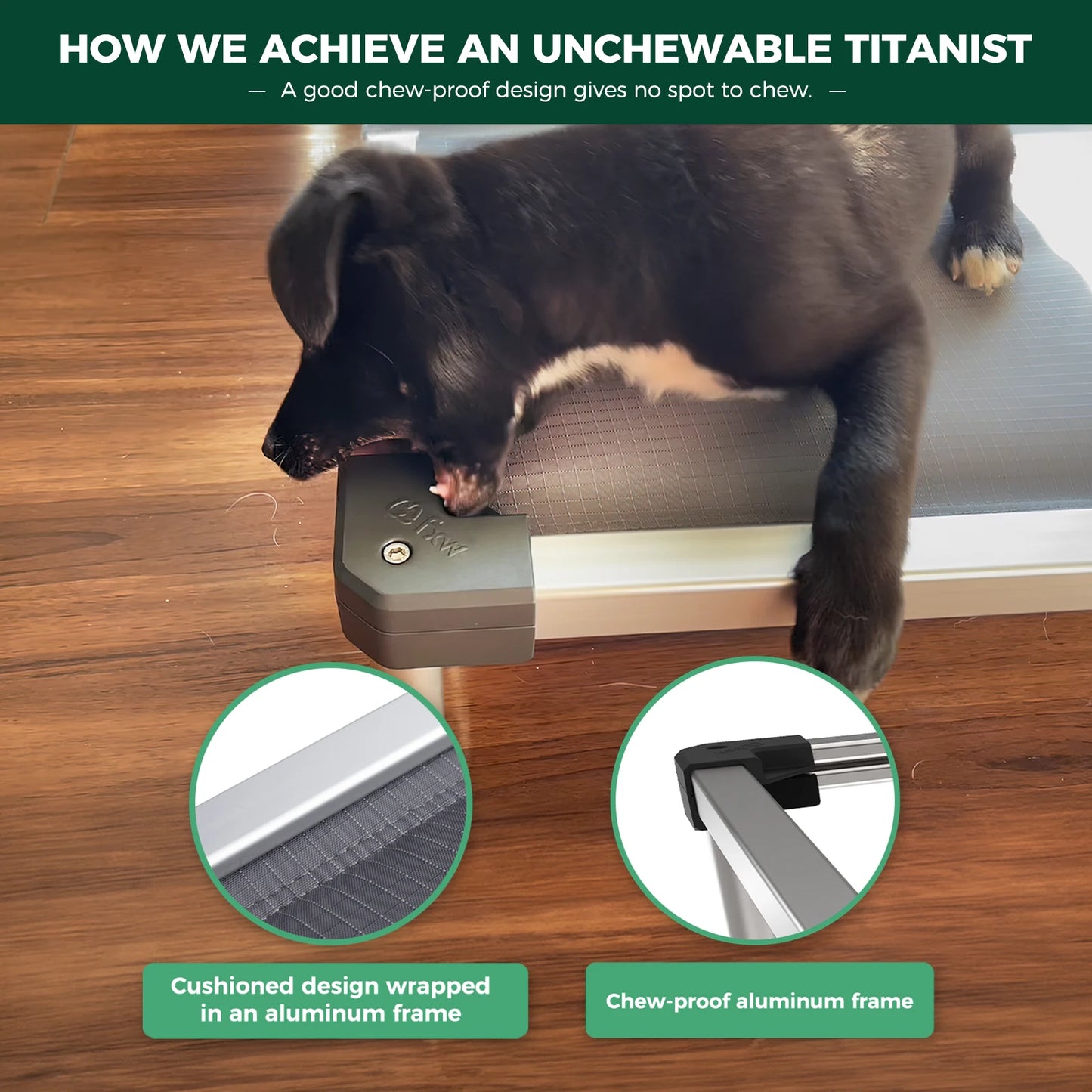 FXW Titanest Padded Dog Bed For Crate