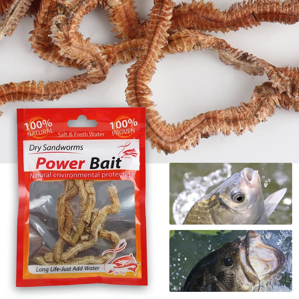 Dry Sandworms Fishing Lures Fishy Smell Lures Soft Fishing Lures for Saltwater and Freshwater Fishing