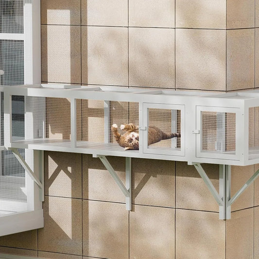 Cat Tunnel with Extendable Design