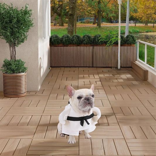 Funny Halloween Pet Costume